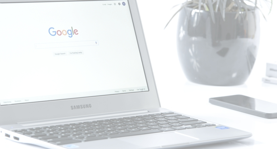 Image of a silver Chromebook laptop open to a Google browser, a spider plant and cell phone beside it.